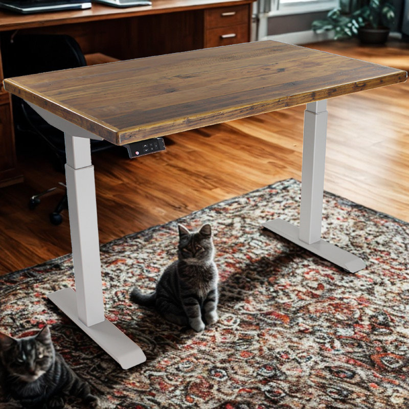 Skyscraper Electric Height Adjustable Standing Desk, Dual Motor and Digital Control with Memory, 48x30, Real Reclaimed Wood Top with Brushed Silver Frame