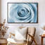 «Pearly White Rose», reproduction sur toile-2136490780