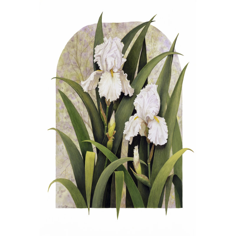 Iris Vignette 1 Piece Wrapped Canvas Wall Art, 122cm H x 81cm W x 3.8cm D