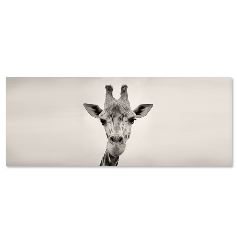 Courious Gariffe Print, Aluminum