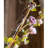 Rose Arrangement-1334272796