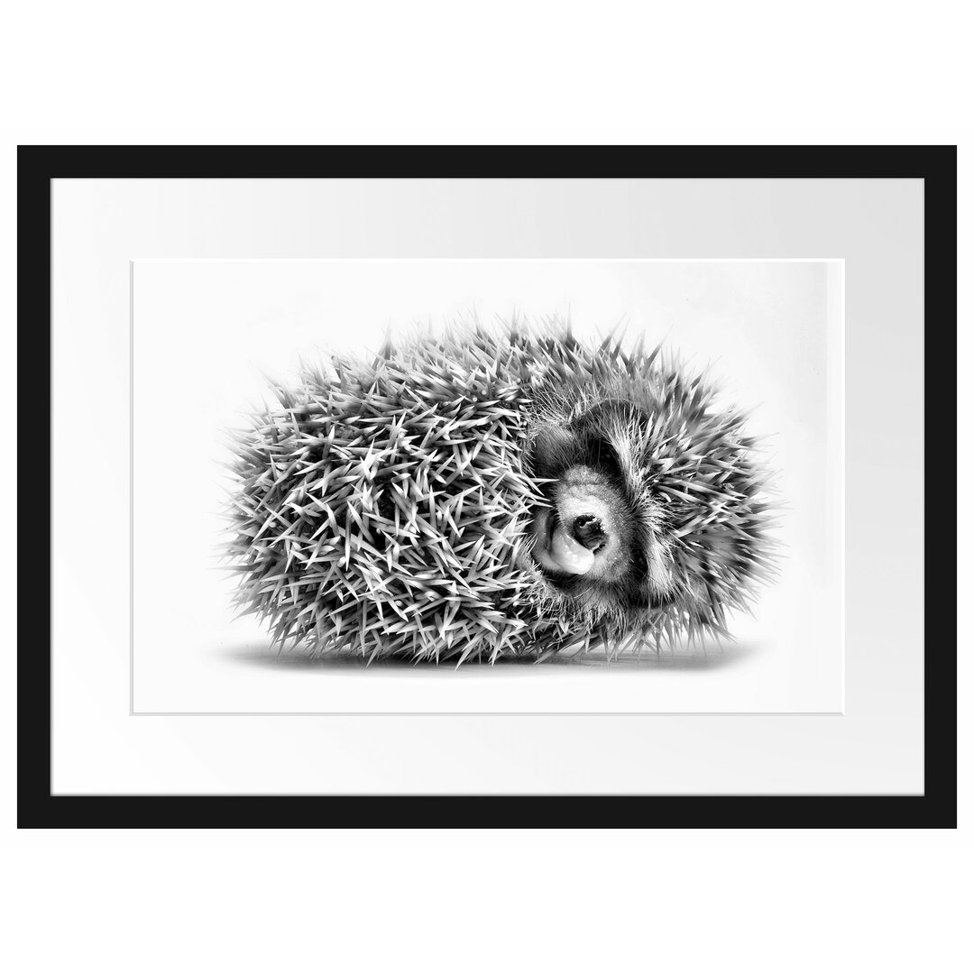 Gerahmtes Poster Kleiner niedlicher Baby Igel