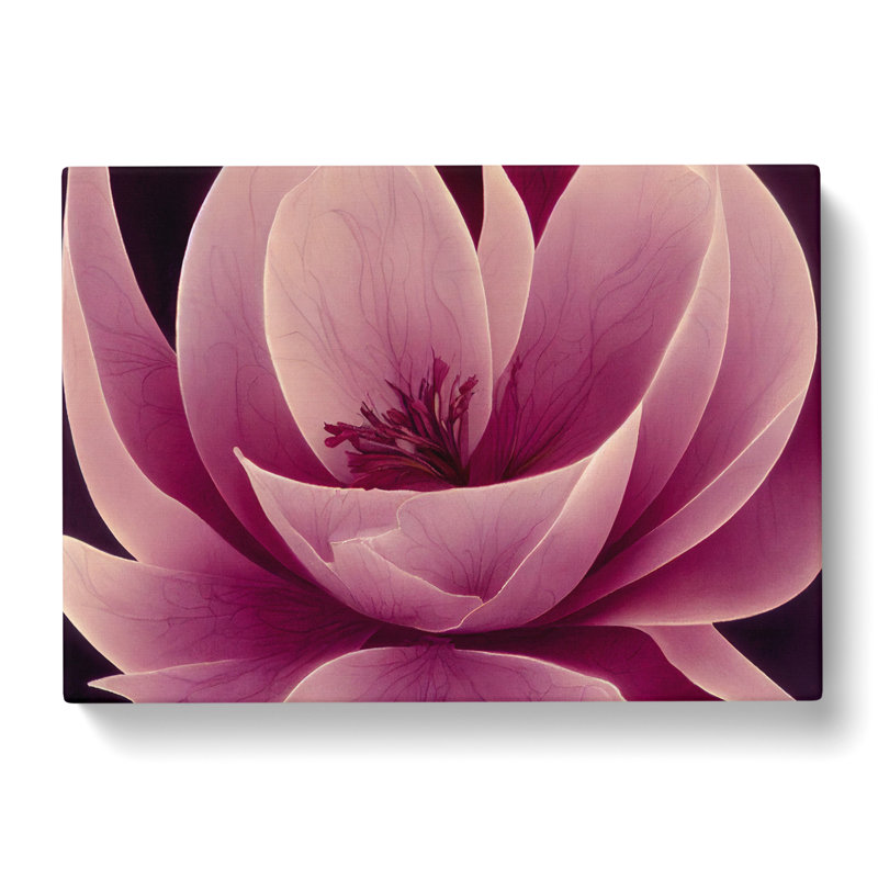Gracious Carnation Flower Abstract - Wrapped Canvas, 35cm H x 50cm W x 3cm D