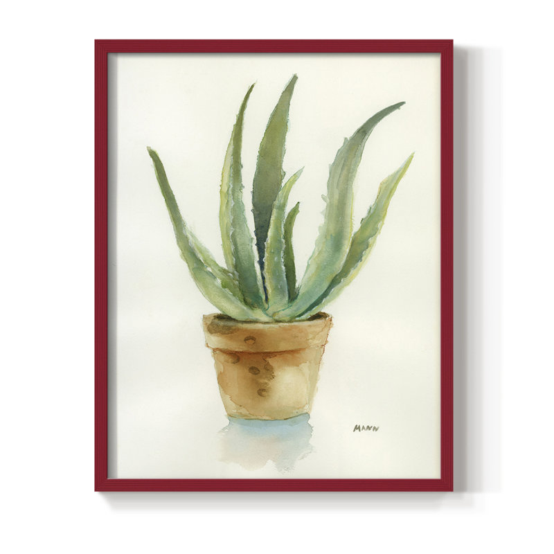 Succulent IV, reproduction encadrée - bois massif, H 20 po x l 16 po, Blanc