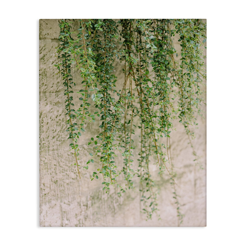 «Hanging Ivy Vines», art mural sur toile par Justine Milton, H 20 po x l 16 po
