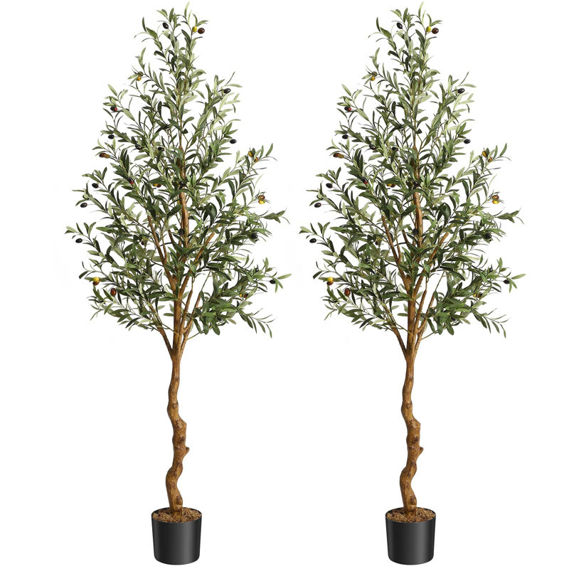 Olive artificielle 6 pi (72 po) de hauteur oliviers en soie artificielle, 2, H 72 po x l 6 po x P 6 po