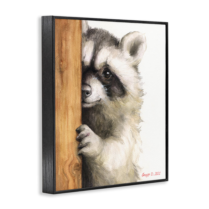 «Peering Raccoon Watercolor» par George Dyachenko, Giclée encadrée noir minuit, L 24 po x H 30 po