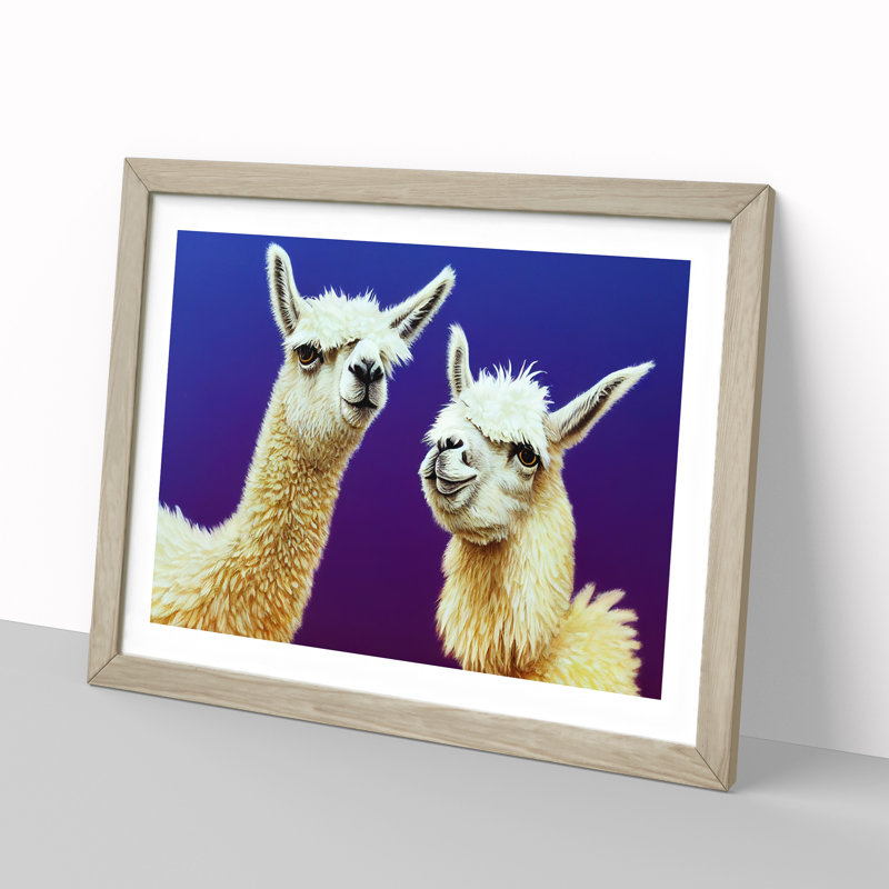 Thrilling Llamas - Single Picture Frame Print, 46cm H x 64cm W x 2cm D, Oak Framed