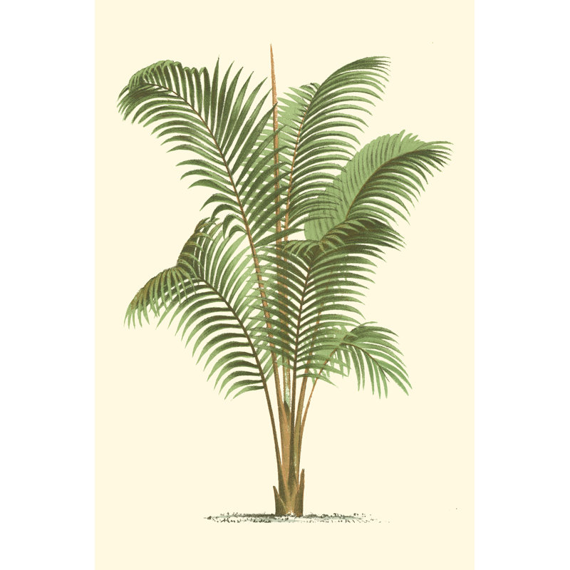 Palmier côtier II, H 12 po x l 8 po x P 1,25 po