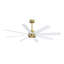 Ventilateur de plafond 8 pales avec télécommande-320108209-277424780