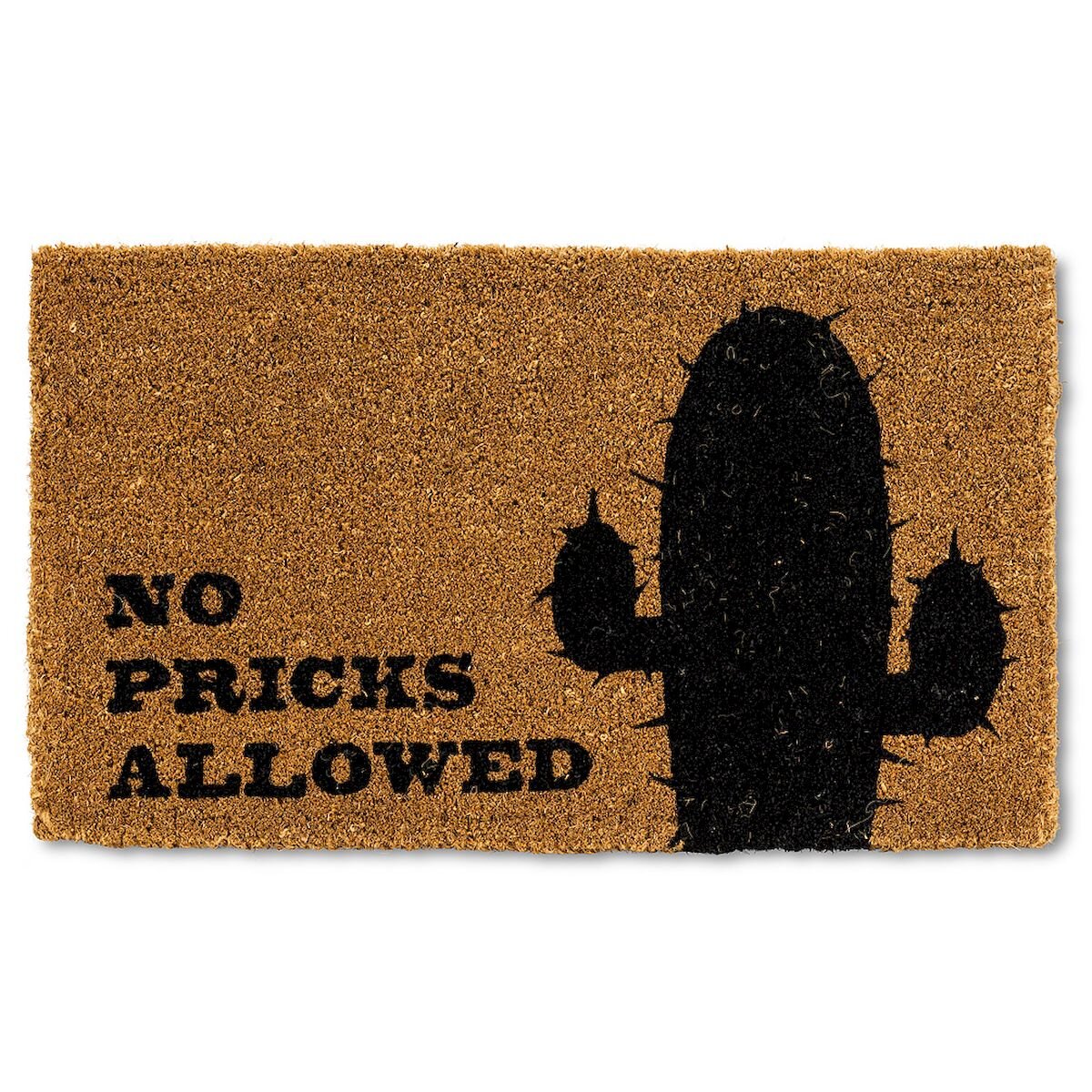 No Pricks Allowed, Funny Doormat, Cactus Doormat, Plant Doormat