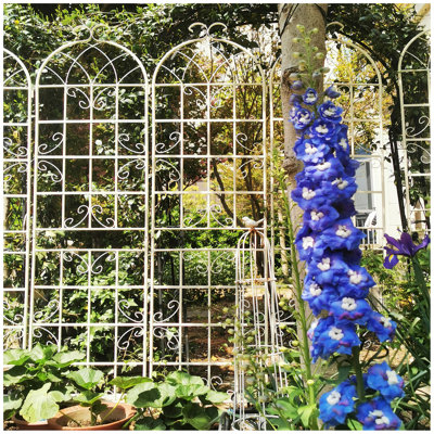 Paquet de 2 treillis de jardin en métal antirouille pour plantes grimpantes