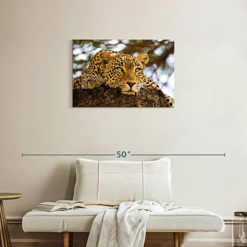 Brampt Leopard Looking For Prey, 20" H x 30" W