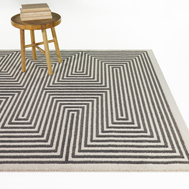 Tapis gris anthracite moderne Teodozia, 7 pi 10 po x 10 pi