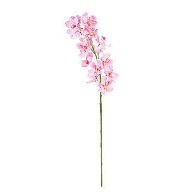 Tiges d'orchidées