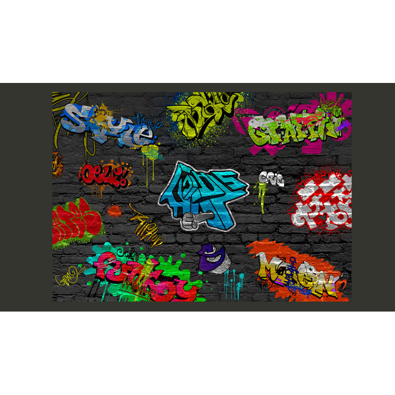 Graffiti Wall 2.8m x 400cm Wallpaper, 350 cm x 245 cm