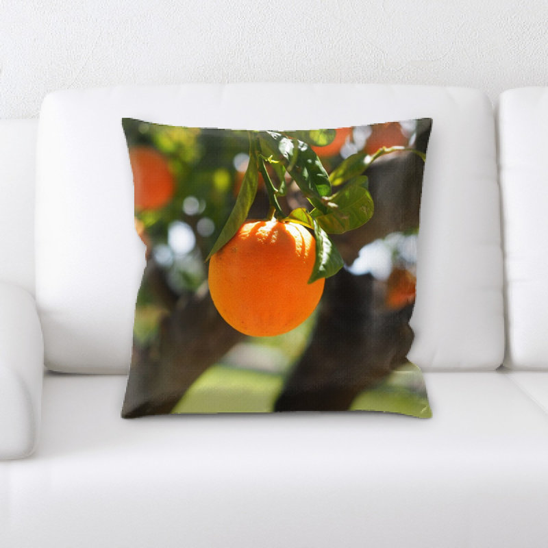 Coussin orange