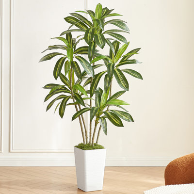 Arbre Dracaena artificiel 6 pi dans un pot à fleurs blanc, plante d'intérieur artificielle Real Touch