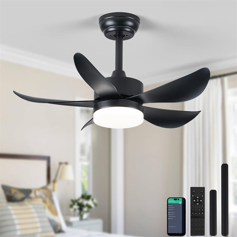 Ceiling Fan with LED Lights, Black
