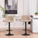 Zager Swivel Adjustable Height Bar Stool Leather Barstools Upholstered Counter Stools Round Base