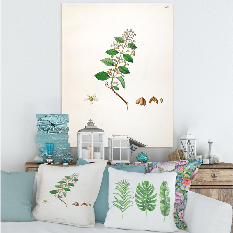Vintage Botanicals I - peinture sur toile, H 32 po x l 24 po x P 1 po, Toile tendue