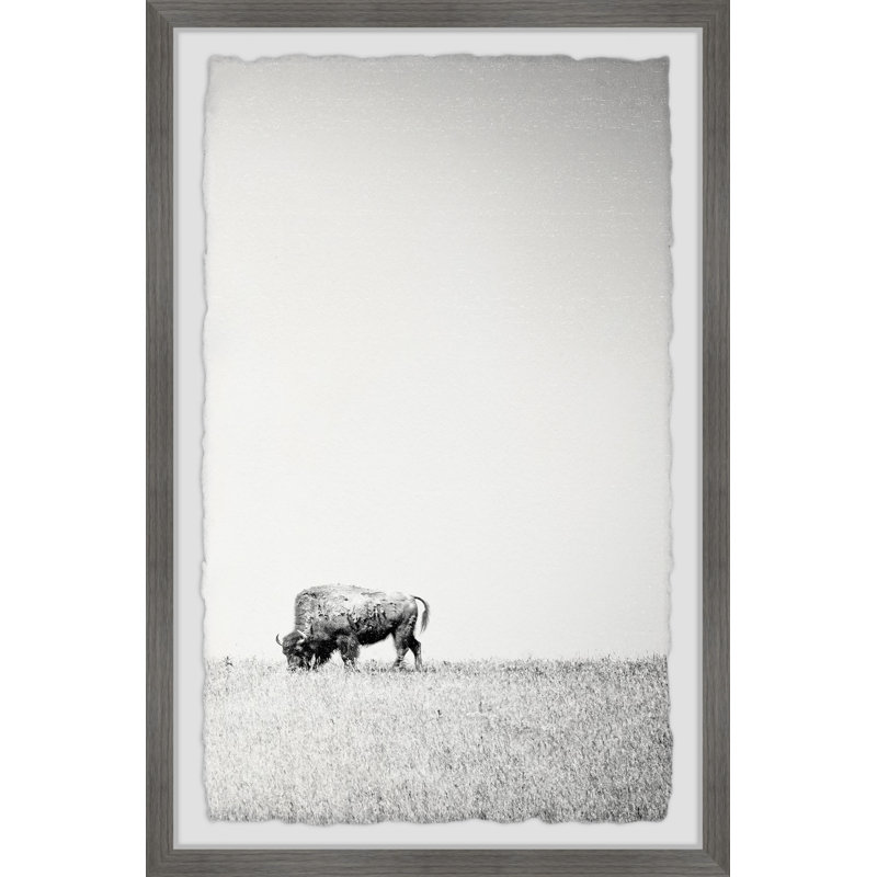 Euben Print