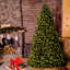 The Holiday Aisle® Dunhill Fir Tree with Clear Lights-1452352442