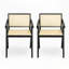 Chaise avec accoudoirs-248732415