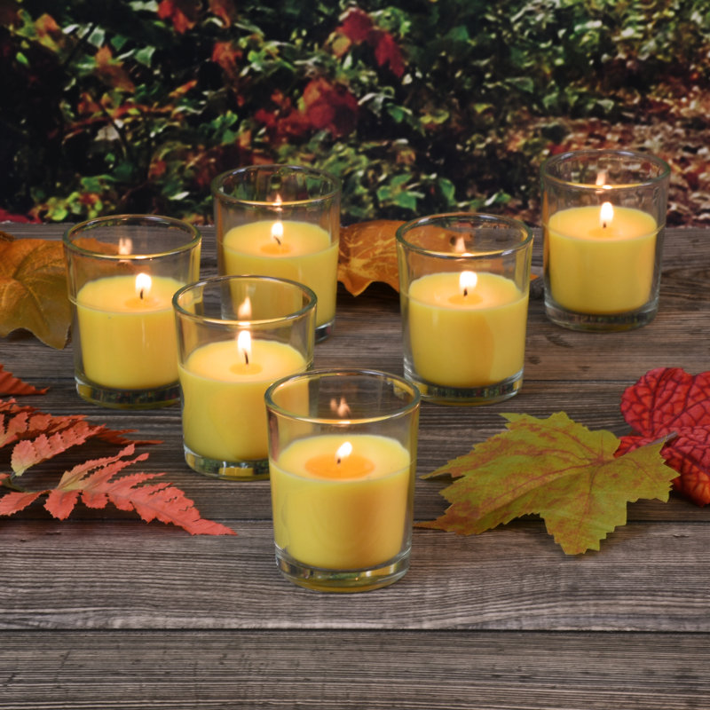 Porte-bougies votives Citronella - 12 unités, Transparent