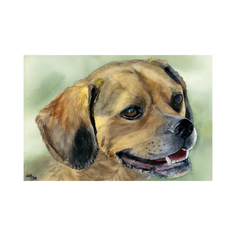 Puggle Bug - Puggle Dog by Judith Stein - Wrapped Canvas Painting, 20.32cm H x 30.48cm W