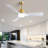 Whisper 54" 3-ABS Blade Modern Smart Ceiling Fan with LED Lights and Remote-604553345