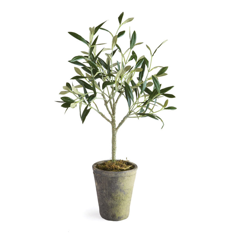 Faux Olive Tree Tree in Ceramic Pot, 15" H x 4" W x 4" D