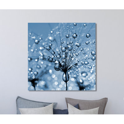 « pissenlit fleur close up », reproduction de photo sur toile tendue