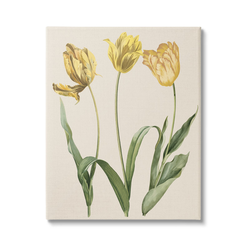 «Three Tulip Sprigs» par Lil 'Rue, reproduction d'art sur toile tendue, H 30 po x l 24 po
