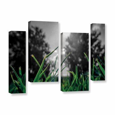 Grass' 4 Piece Graphic Art on Wrapped Canvas Set -  Red Barrel StudioÂ®, RDBS8488 33610908