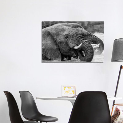 Bathing Elephants by Anders Jorulf - Wrapped Canvas Print