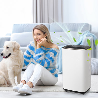 WANAI Table Top Dehumidifier