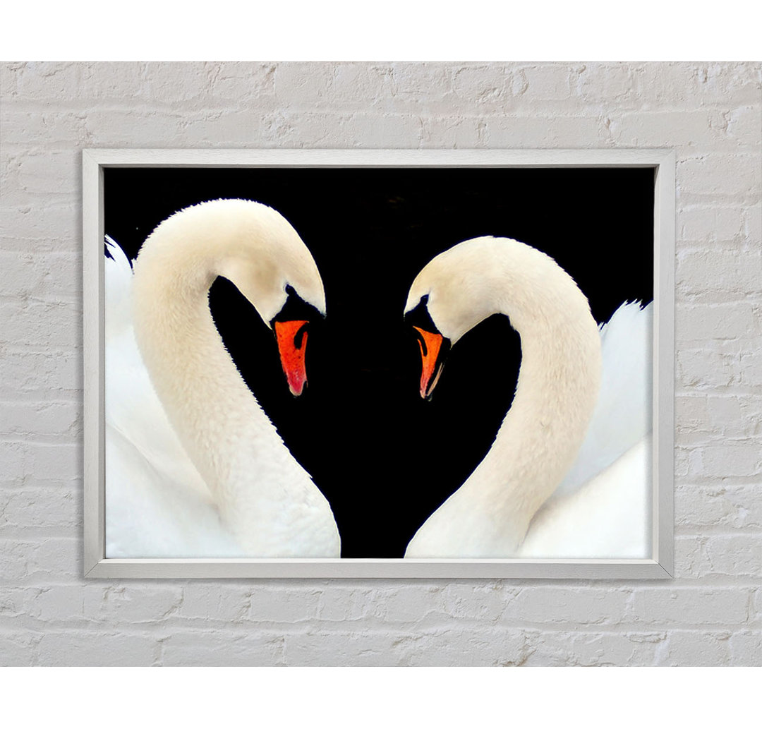 Love Heart Swans - Einzelne Bilderrahmen Kunstdrucke auf Leinwand