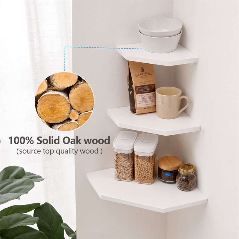 Bordie 2 Piece Floating Shelf