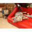 Pet Bed-9260445-9260446