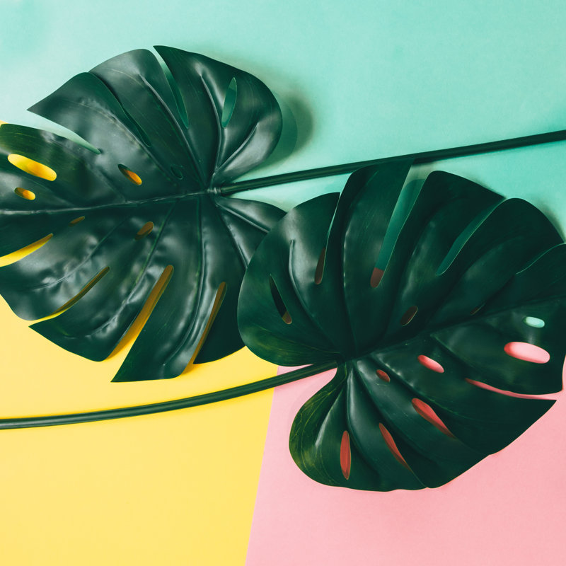 Two Tropical Green Leaves by Katya_Havok - Wrapped Canvas Print, 51cm H x 51cm W x 3.8cm D