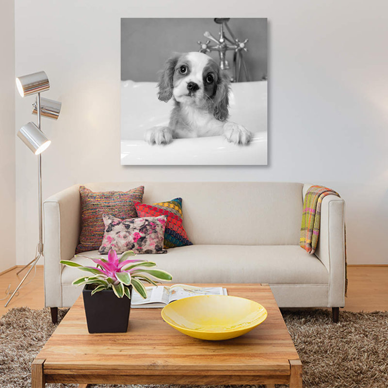 « lulu », reproduction de photo sur toile tendue Kim Levin, H 18 po x l 18 po x P 1,5 po, Toile avec cadre noir, Pas de tapis