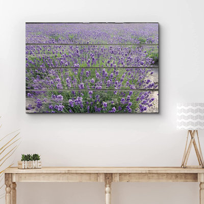 Flower Blossom " Purple Lavender Field "