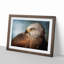 Portrait of a Red Kite Bird - Picture Frame Painting Print on MDF-55601448-55601449