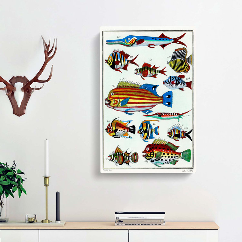 Exotic Fish Illustration - Wrapped Canvas Painting, 50cm H x 35cm W x 3cm D