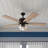 Boxford 52'' Ceiling Fan with Light Kit