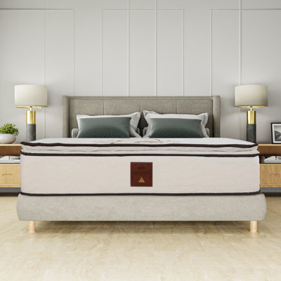 Orthopedic Mattress 14 Inch Plush Pillow-Top Mattress by Alwyn Home