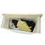 Blanchisserie Organisation Chaussettes perdues Cherchant Solemates
