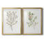 Reproduction encadrée de qualité supérieure simple Sprig III - prête à être accrochée-756675100-756675091
