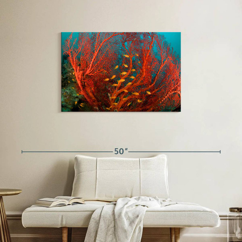 Fire Coral, 24" H x 36" W
